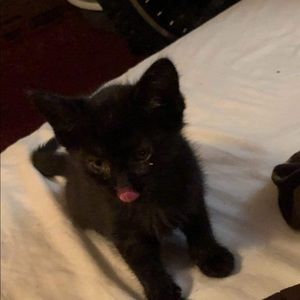 Meet your Posher, Axel